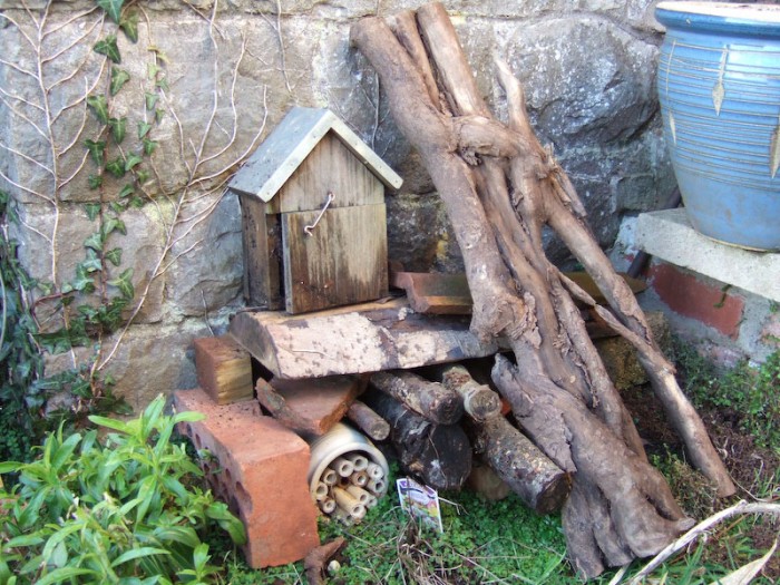 This is my bug hotel.