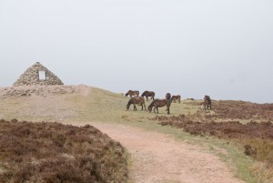 dunkery beacon