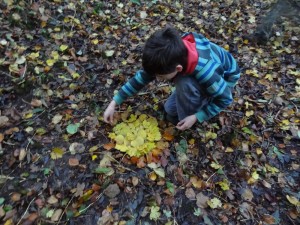 DSC05799_mid